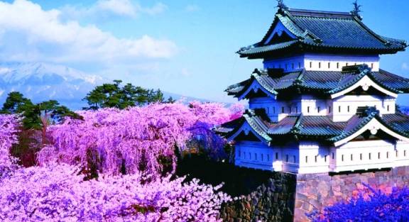 世界上“最著名的三大樱花胜地”，一个位于日本，一个就在中国