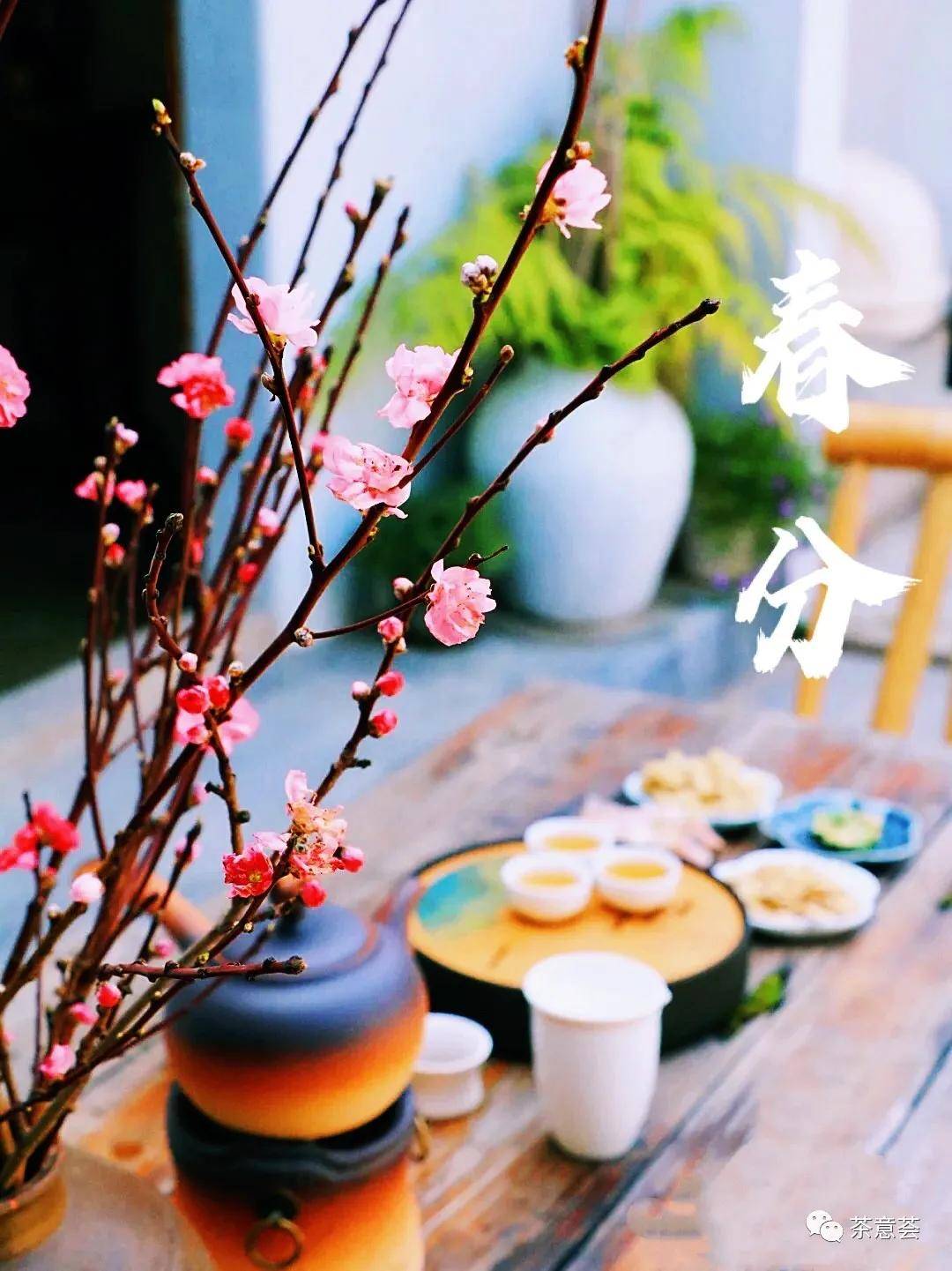 春分 | 一半春天一半茶