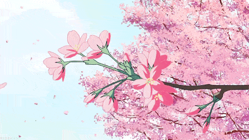 樱花樱花，想见你！金坛茅山超美赏樱地来了！
