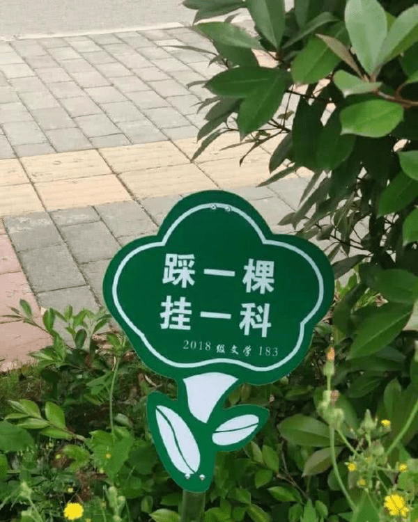 原创
每日一笑:妹子咱还能尊重下乞丐这个职业吗,有你这样乞讨的吗
