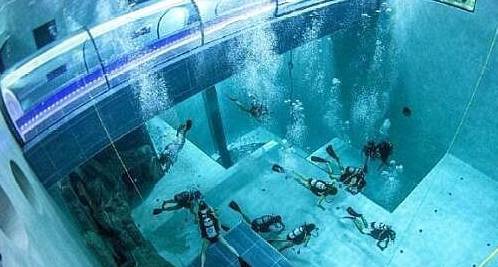 世界上最深泳池，可放入9头非洲象，还让传奇人物自愿看门！