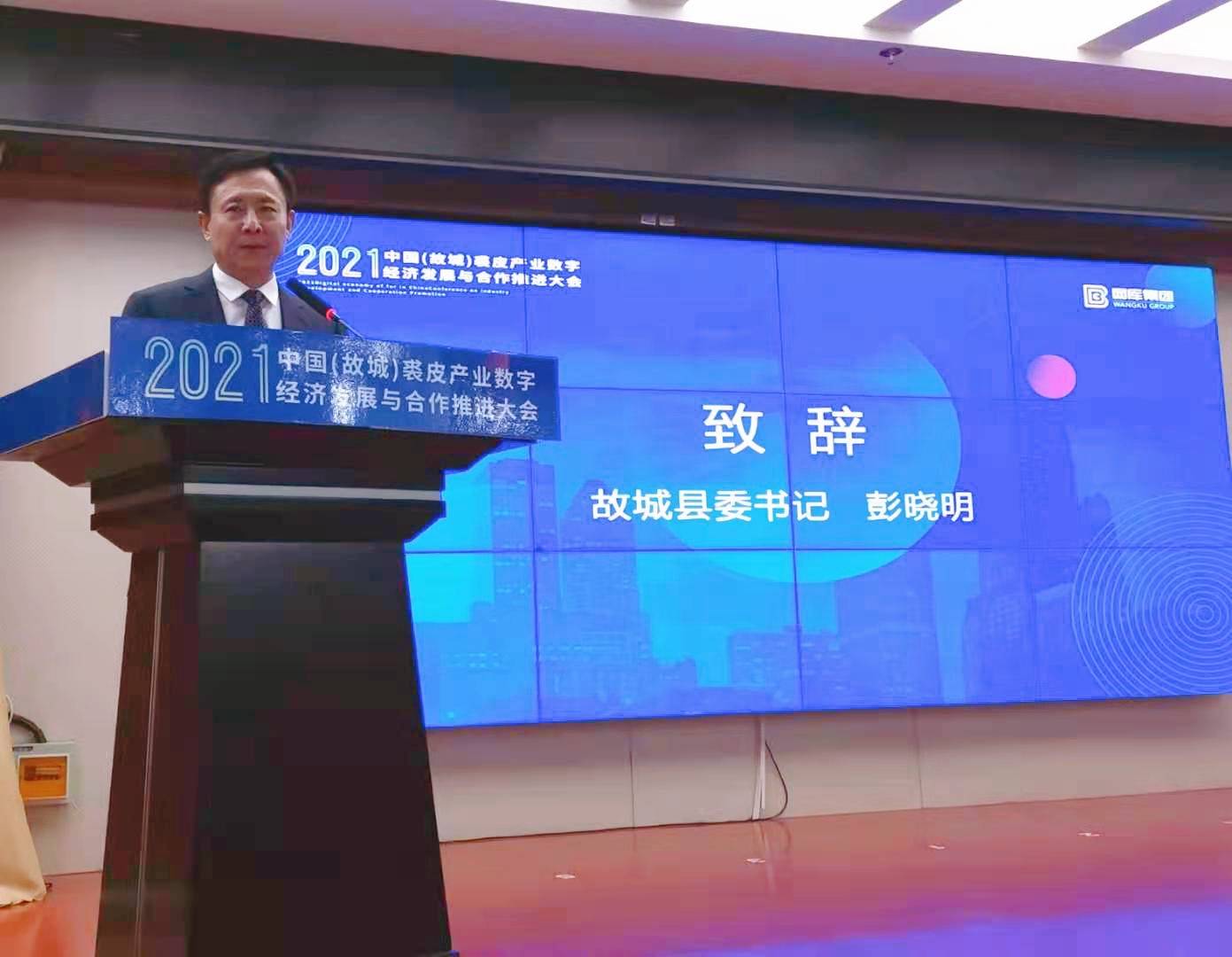 故城县经济生产总量_故城县地图