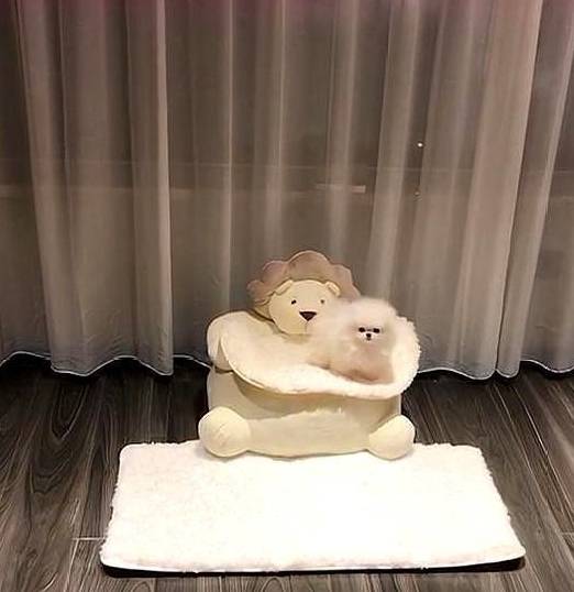 如何变得越来越可爱 9fe6ff5666c74592a84e09857dd006f2.jpeg