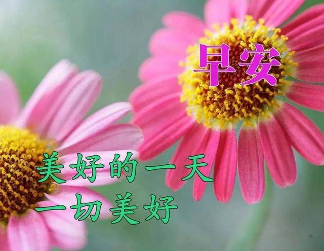 大家早上好图片早安问候语 ad6e0601b72444b281ebad0151e0ac27.jpeg