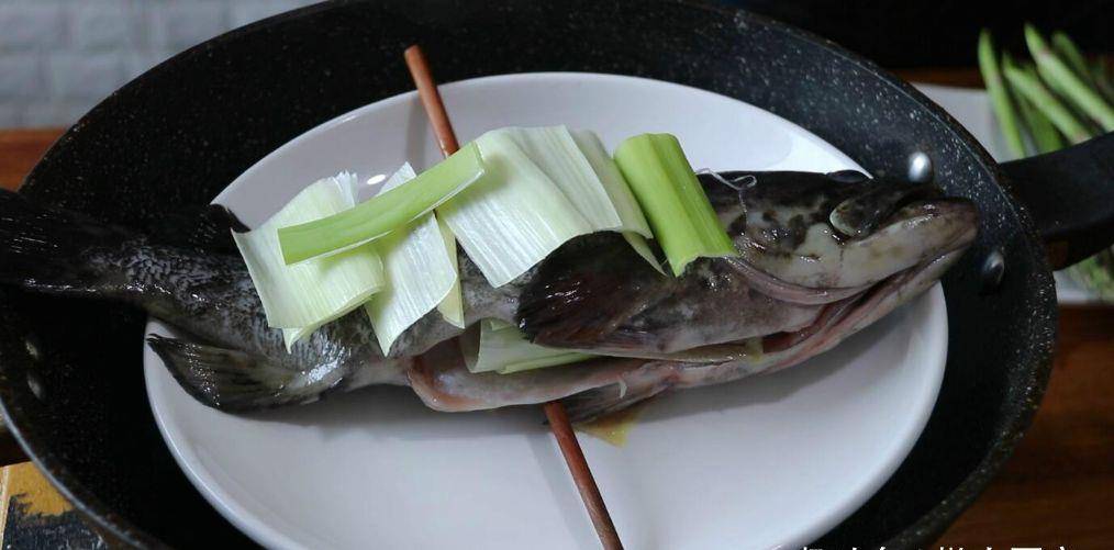 哪里买石斑鱼 e6be7c6ced504e93aa0ac2c41629f49a.jpeg