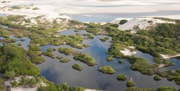 世界上最神奇的沙漠：降雨量超大沙都是白的，遍地是湖泊鱼虾成群