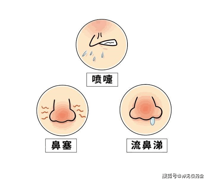 成语鼻高什么_什么高镜明的成语