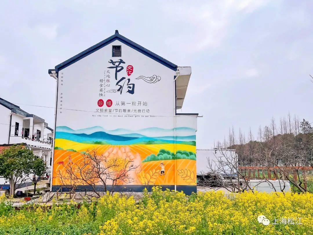 乡村能有多美，松江这个村做了个“示范”！