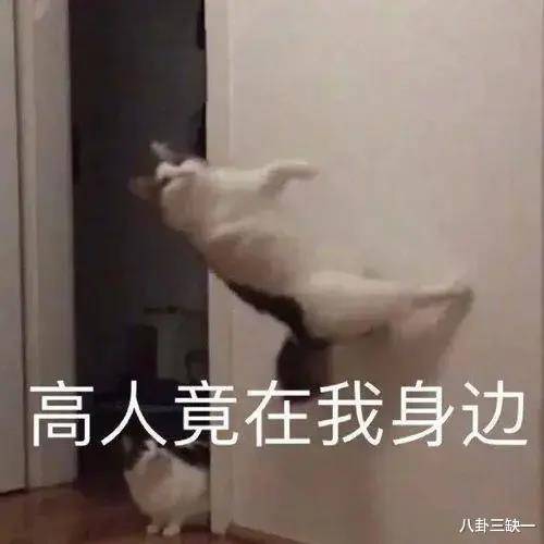 5549bacd69514bdf8cc8004d7c9337ec.jpeg