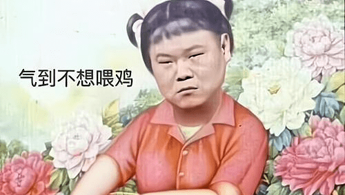 每日一笑智力排名第一的边牧居然没人养原因笑笑笑笑屎我了