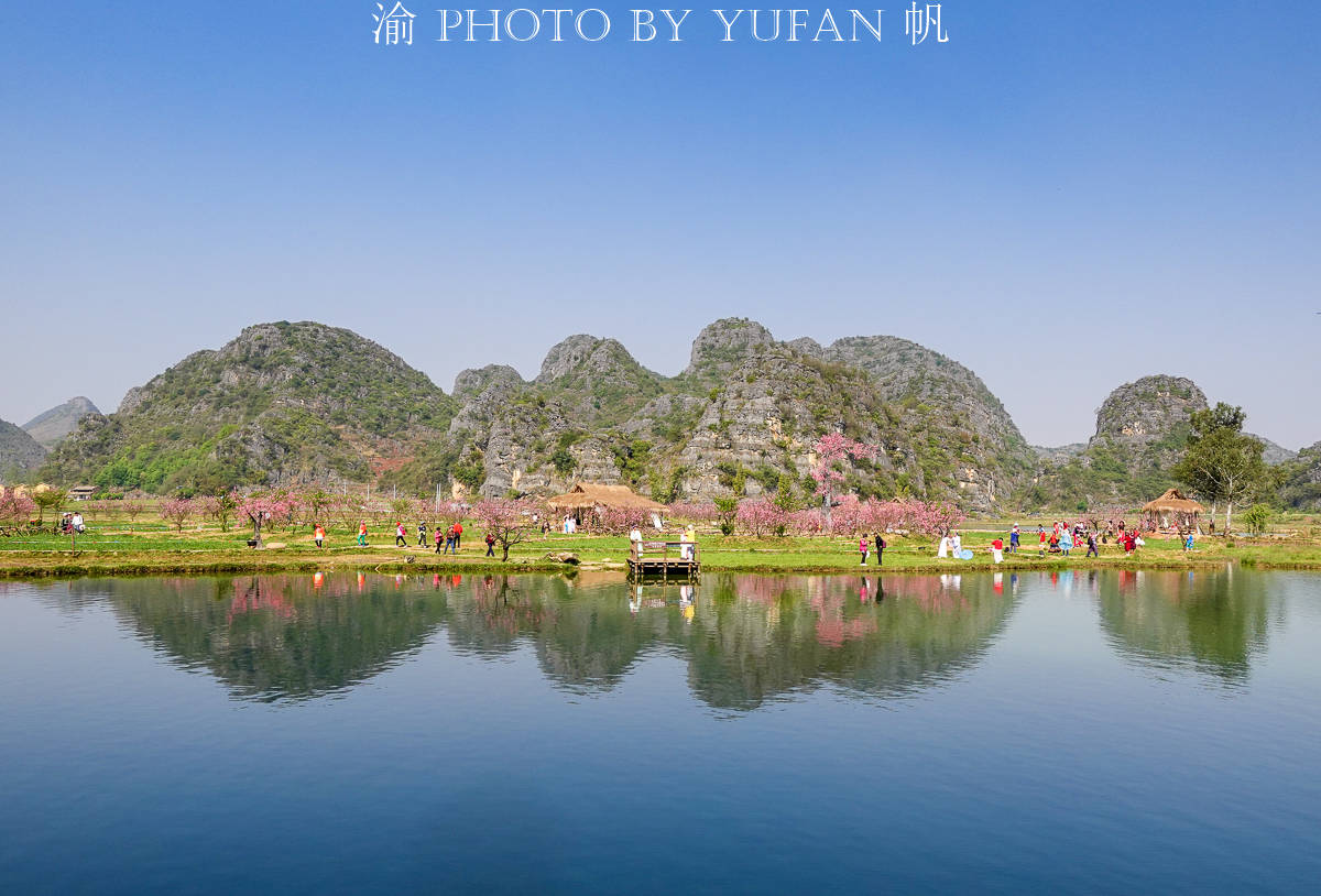 云南一个5A景区以假桃花吸引游客，游客却乐在其中，还表示真香