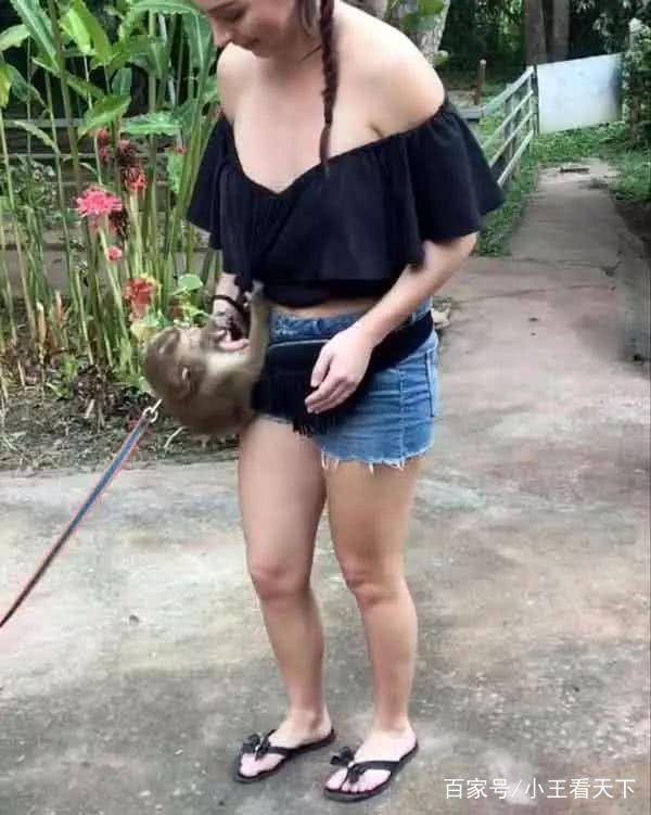 日本女游客泰国戏耍猴子被撕破衣服，景区回应猴子只是饿了
