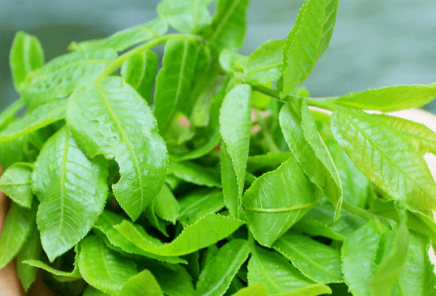 女儿39岁年入百万我替她递交了辞呈