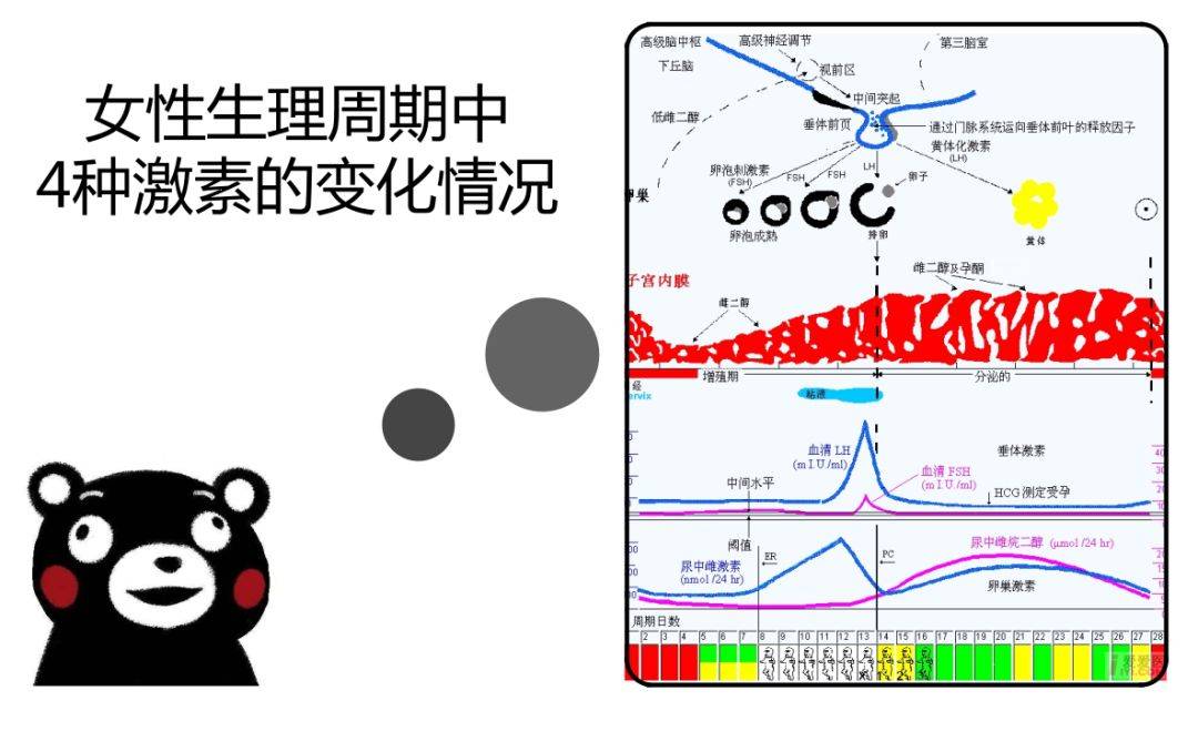 好像就更懵圈了