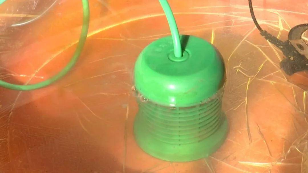 能排毒还治癌症? “中科氢量平通仪”骗局被电视台曝光(图2)