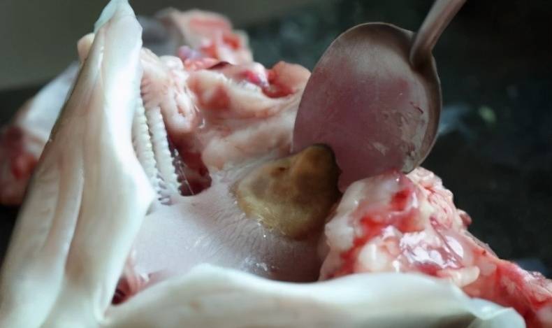 农村常见的"青鱼石"有哪些用途,取出青鱼后怎么处理?