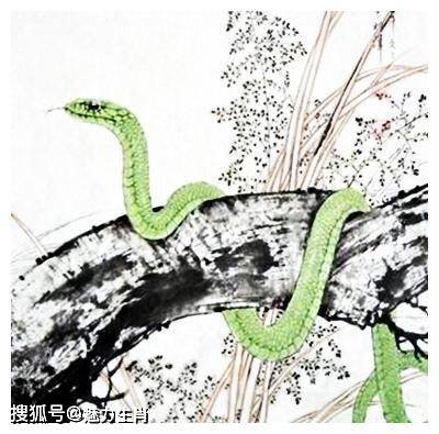 蛇是哪4个数字 94bb9142720d49778c100e9d7eca5216.jpeg