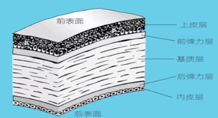 颜色|揭开心灵之窗的面纱