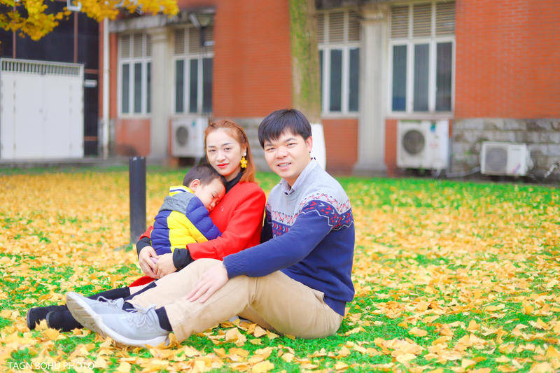 旅游成都，四川大学金黄色的银杏树，宛如蝴蝶翩翩起舞