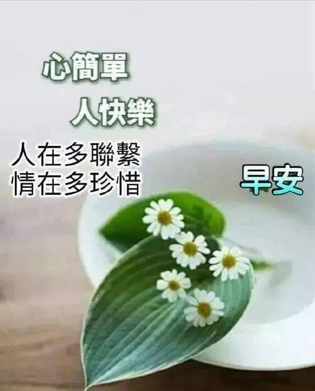 原創早上好問候語圖片暖心的早上好祝福說說心情