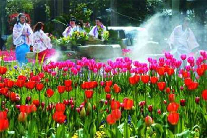 多条公交专线可达 中国花博会4月10日试运行 崇明