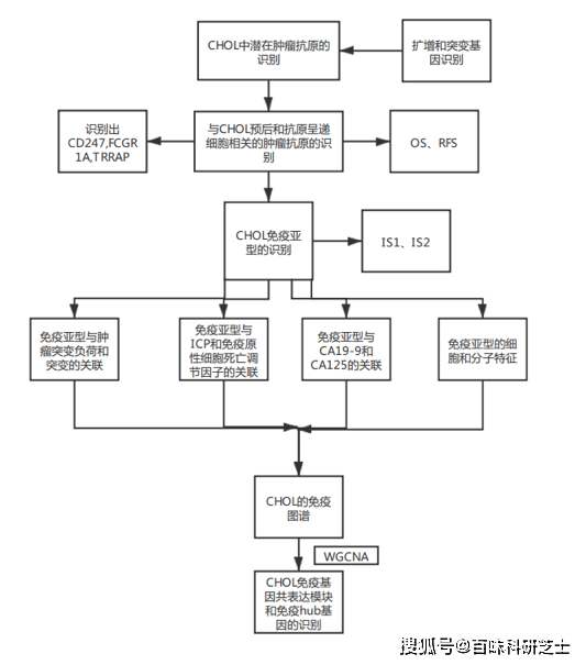 原創高分文獻解讀| 鑑定用於mrna疫苗開發的膽管癌的腫瘤抗原和免疫