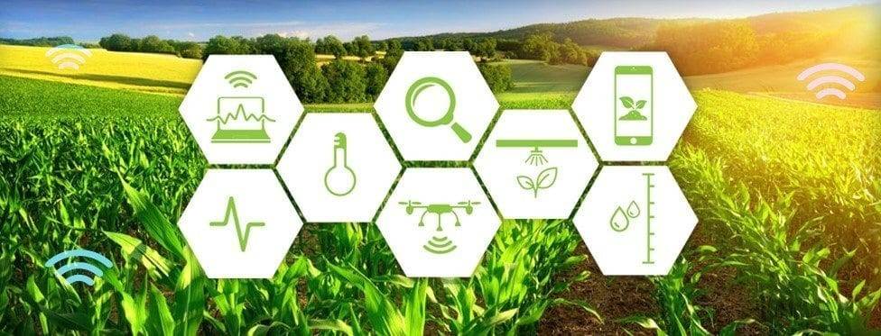 图片展示了一片绿色麦田，上方有几个代表现代农业技术的图标，如Wi-Fi信号、放大镜、温度计等。