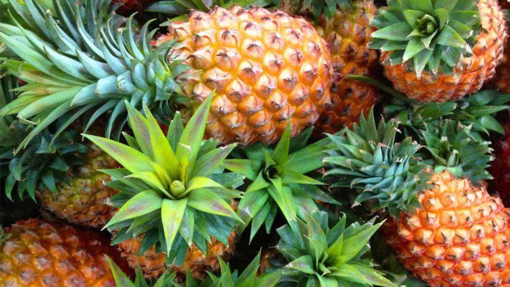 菠萝怎么吃最好吃最甜 75f3f63b50aa49fbb2bd8532e019c530.jpeg