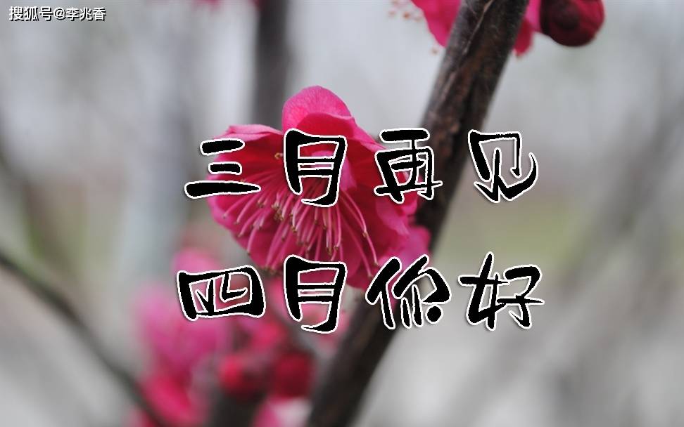 a9f34e3285824c45ba1425df509e795f.jpeg