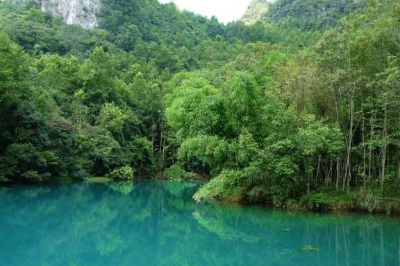 中国最美的十大森林之一——荔波喀斯特森林景观