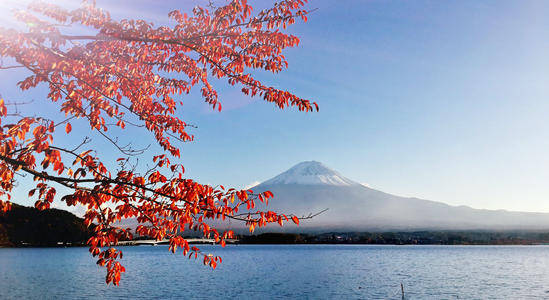 日本富士山竟然是私人财产？一年租金高达几十亿