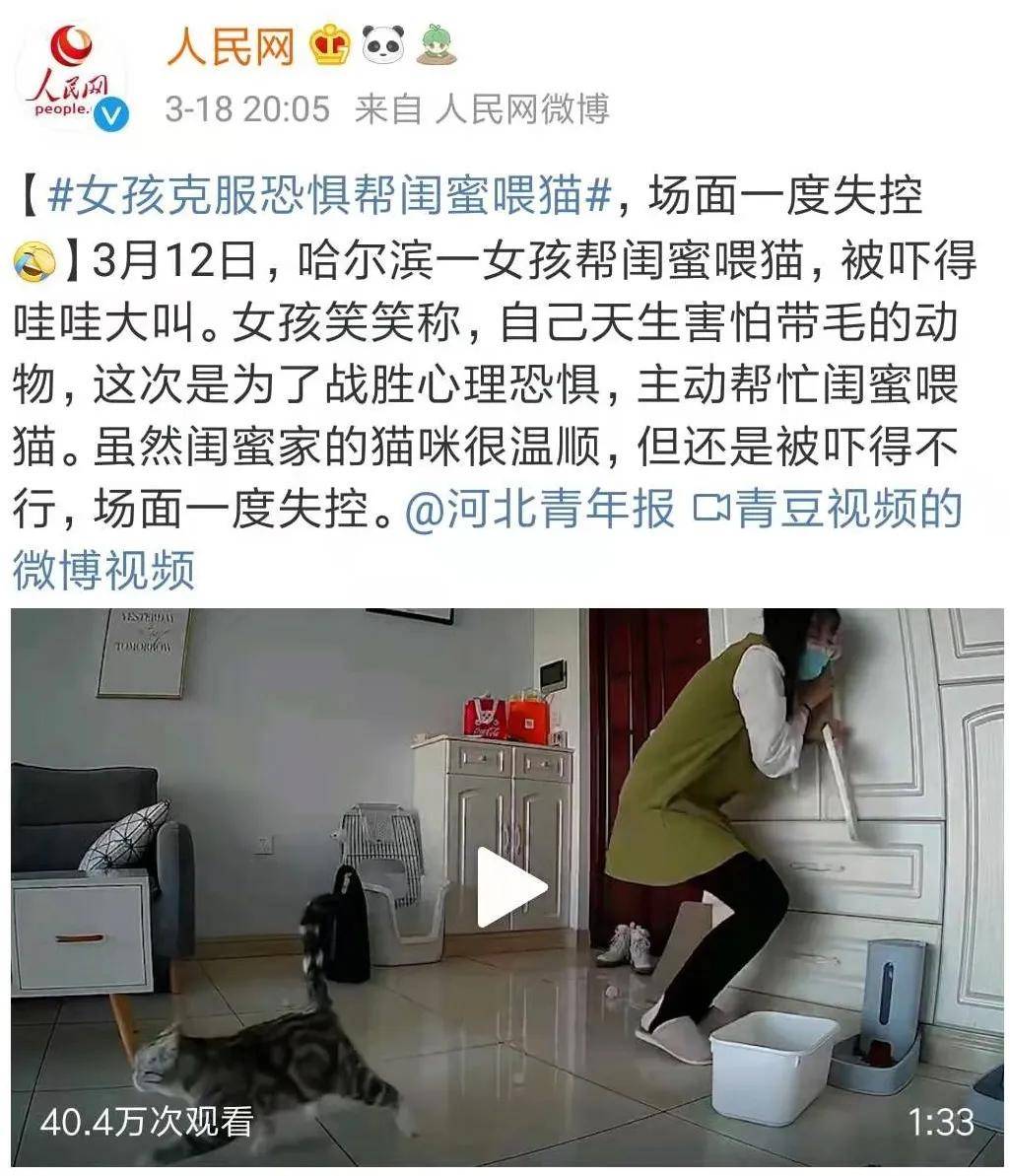 拜托 恐猫症 小姐姐上门喂猫 全网表示 心疼小猫咪 恐惧症