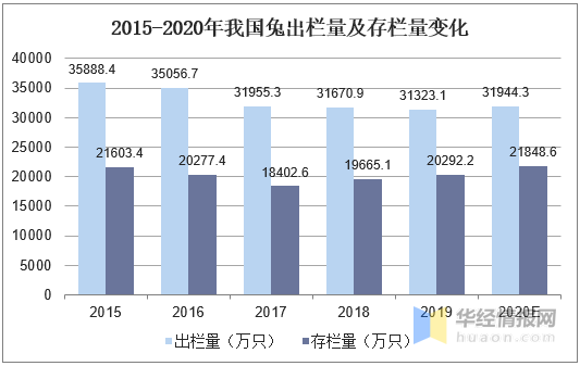 兔子gdp