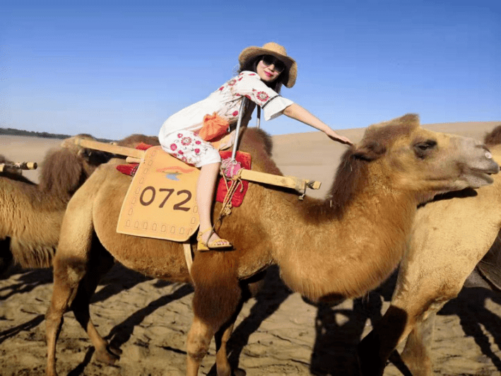 猎头顾问面对面第7期匠心所致的银浆女王tina