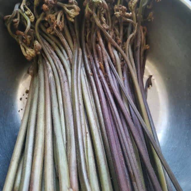 蕨菜炒腊肉 香辣咸鲜又下饭 清水