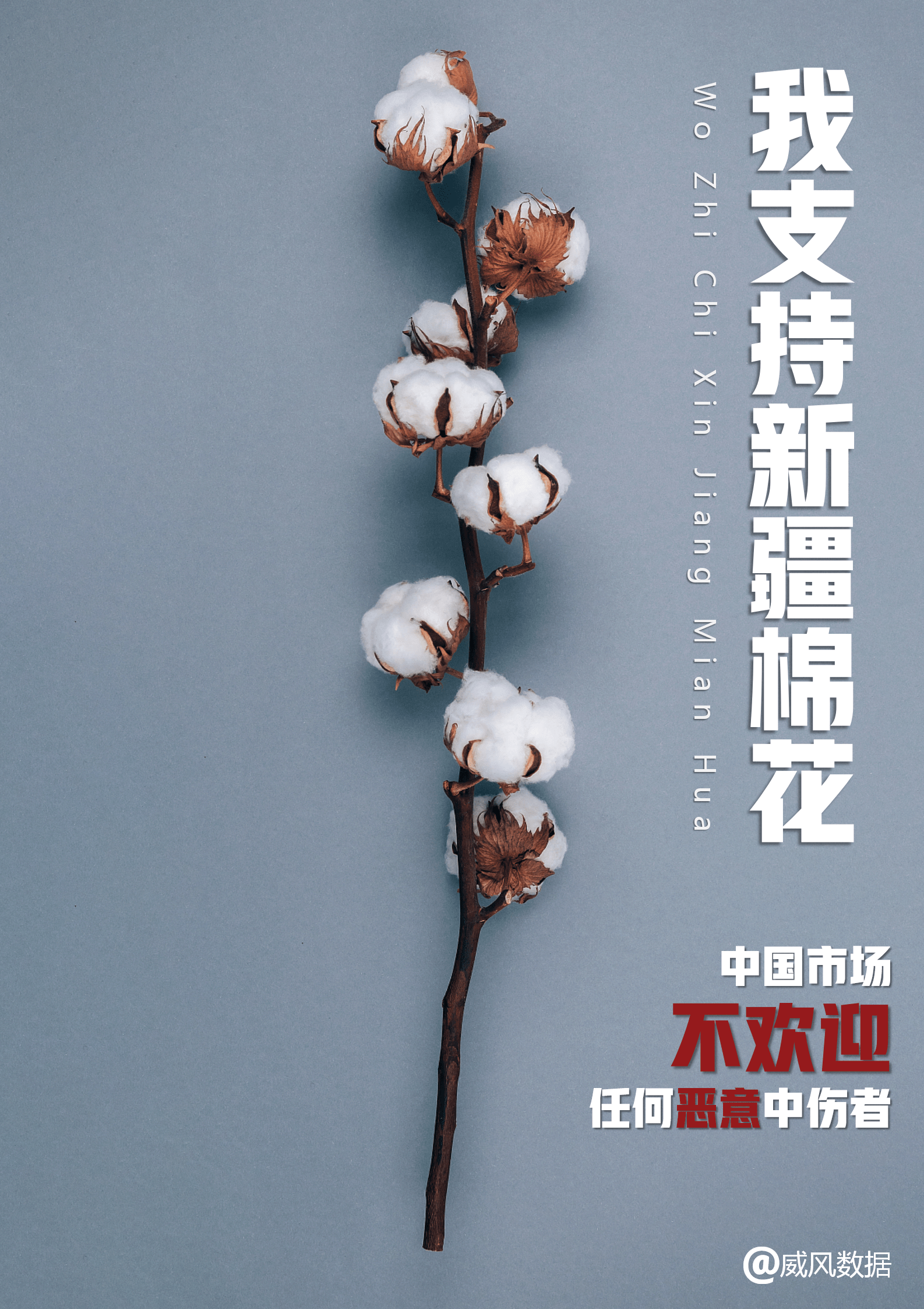 我支持新疆棉花