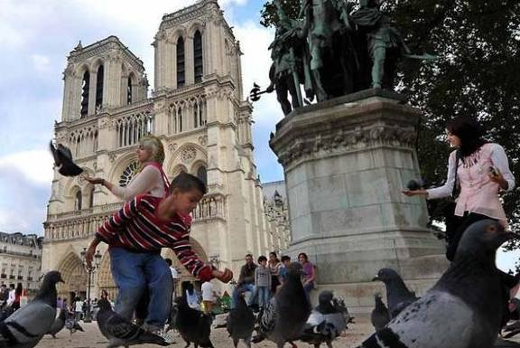 为什么去欧洲旅游，导游提醒一定不要喂鸽子？不听就吃大亏了