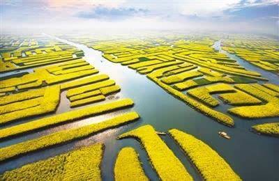 万亩油菜花来了，江苏的这个景区，游船赏花景色令人着迷
