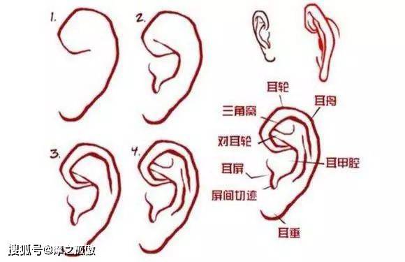 耳什么离腮成语_耳下腮部有肿块是什么(2)