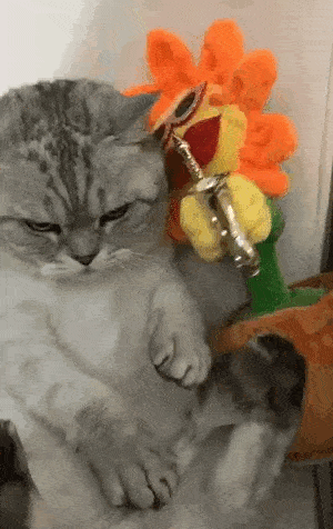 300_476竖版 竖屏gif 动态图 动图