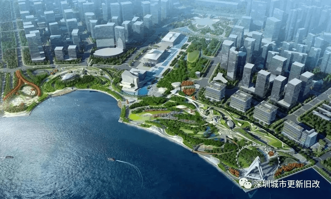 深圳教师人口_深圳人口增长趋势图(2)
