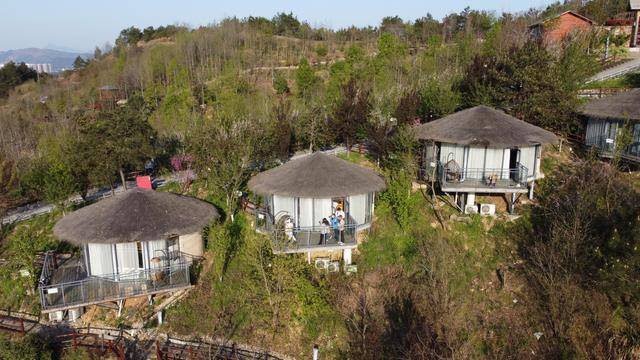 原创发现武汉周边又一浪漫地,逛花海,泡花汤,住鸟巢,不负春光