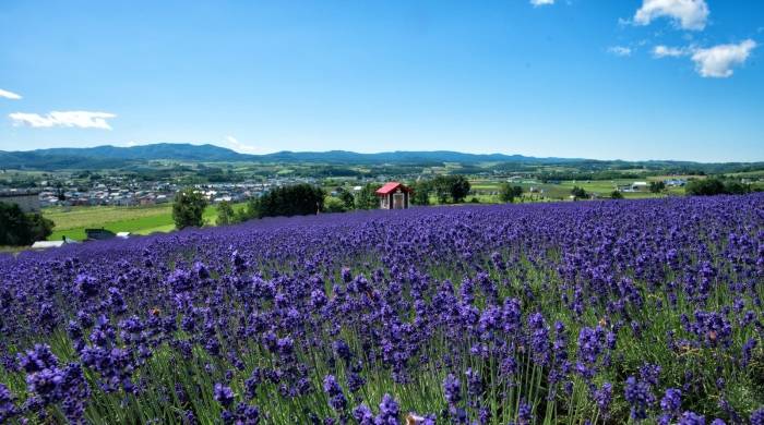 接手飞利浦小家电却炒热格力电器，高瓴资本为何落下这步棋？-家电圈官网