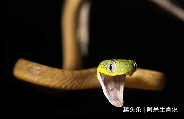 019ef393a6a14656a87aa69cff7db7c4.png