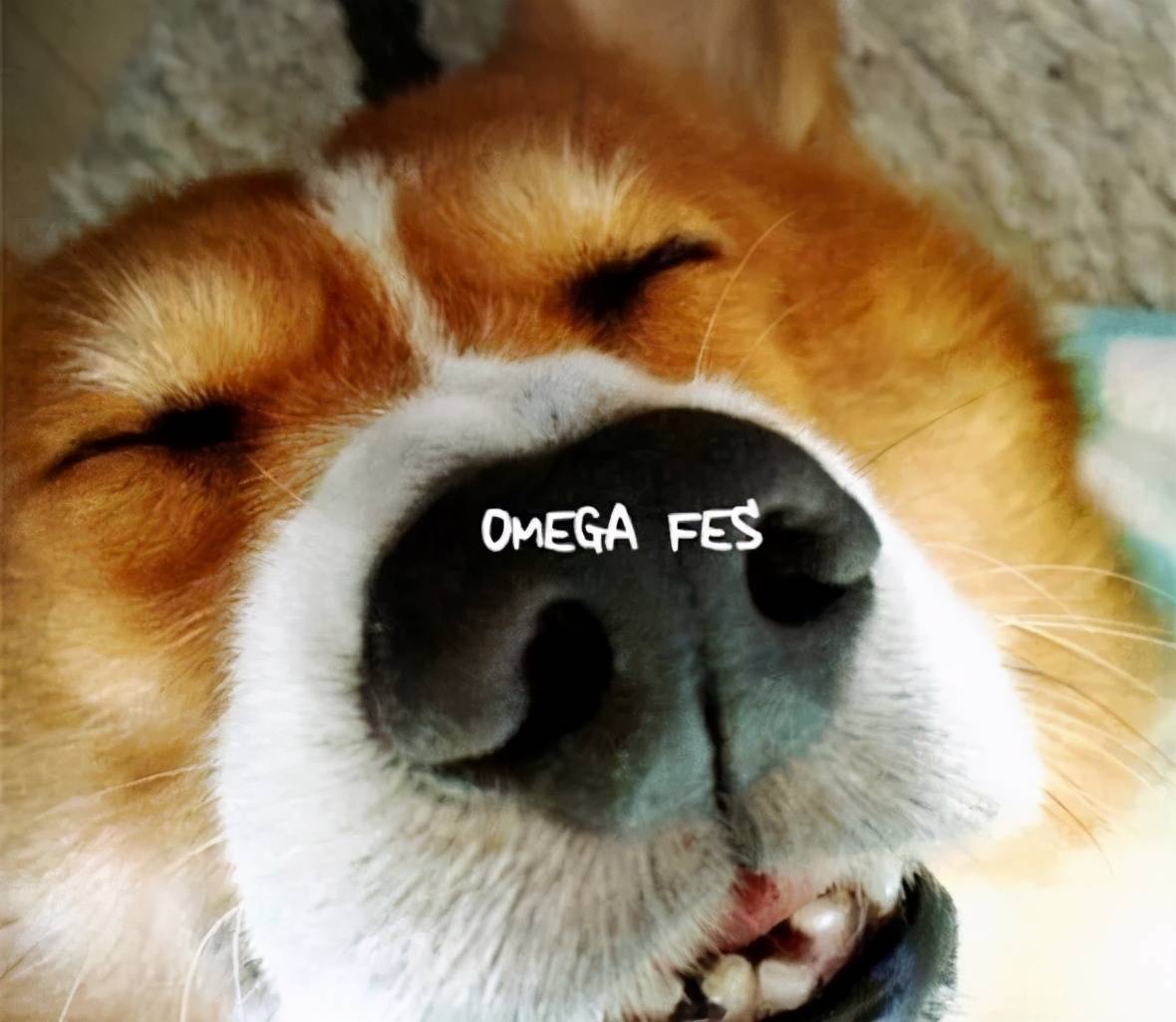 16bdeece6a65409ea35897ece91b378e.jpeg