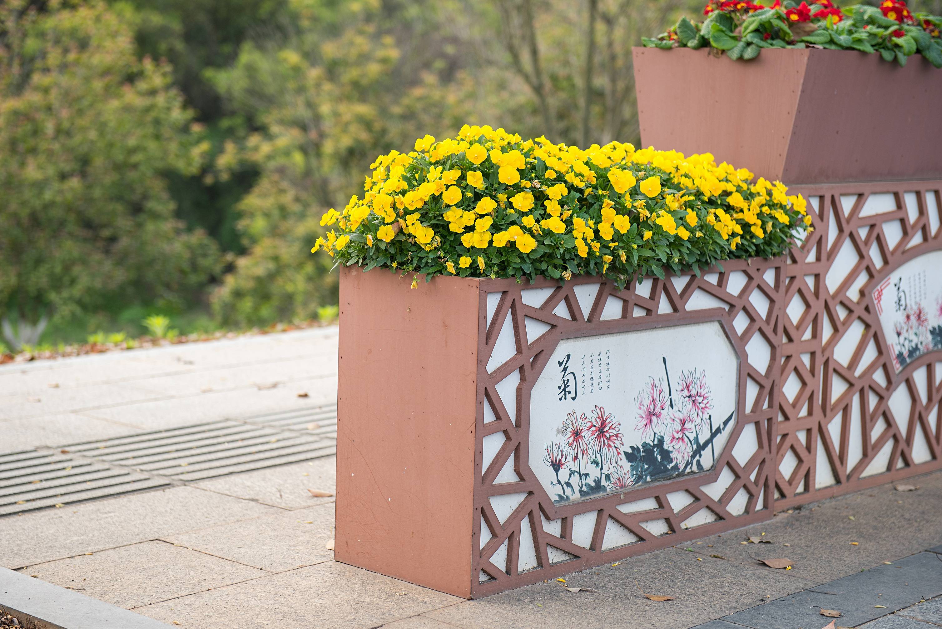 杰欣带你看花箱窗景花箱