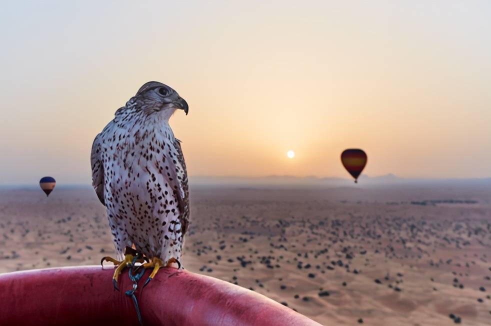 迪拜最美日出日落打卡地