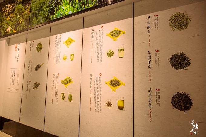 安徽黄山有一座茶文化博物馆，是国家4A景区，还是研学的好去处