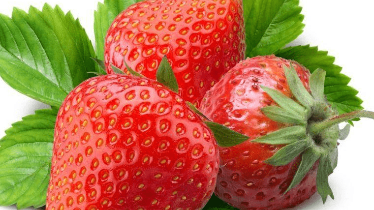 孕妇可以吃草莓吗孕早期 2be5a817becf40d9832611f22d024e18.png