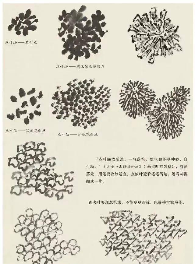 国画树叶的画法大全 叶树